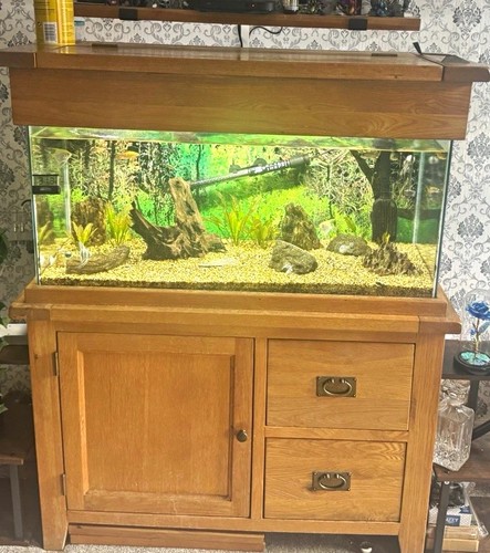 200l aquaoak aquarium with - 200l, aquarium,