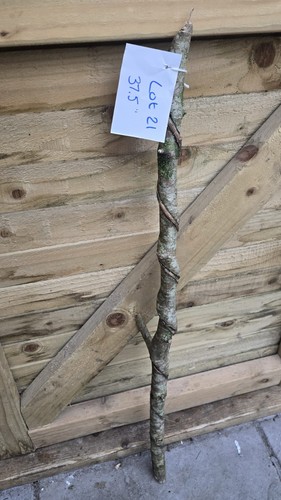 Twisted twisty wood - twisty,