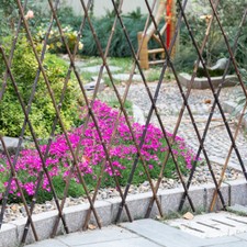 Expanding Wooden Garden