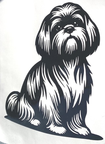 Shih tzu dog - shih,