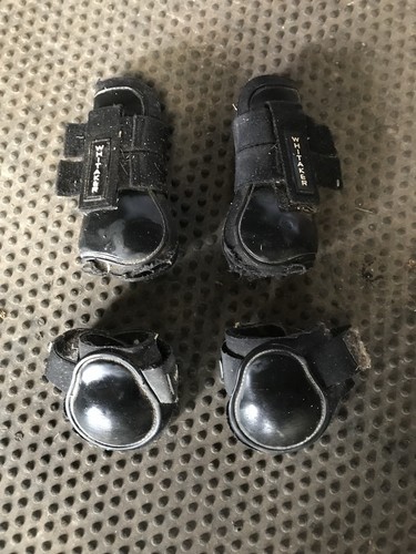 Whitaker black tendon and - black,