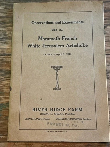 Observations mammoth french - observations,