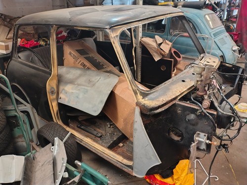 Solid classic mini - solid, shell