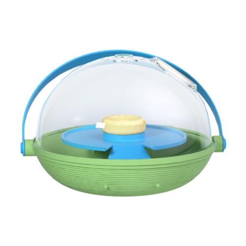 Turtle incubation reptile - turtle,