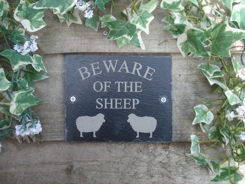 Beware the sheep - beware, of