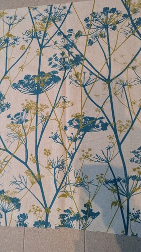 Clarissa hulse wild chervil - clarissa,