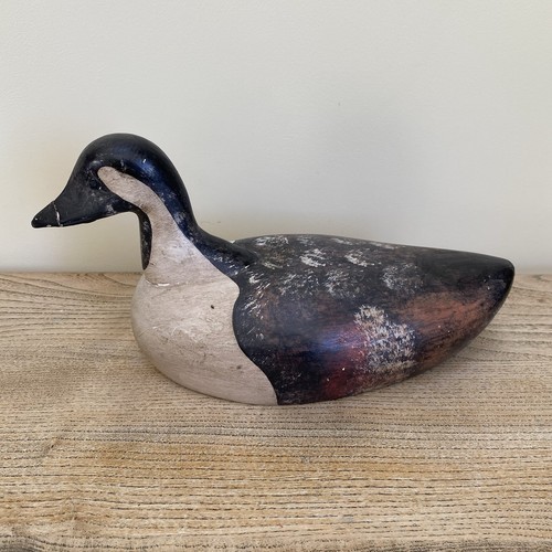 Carved canada goose - canada,