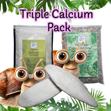 Triple Calcium Pack for 🐌 Land Snails, 🪱 Millipedes, 🦀 Hermit Crabs & Isopod