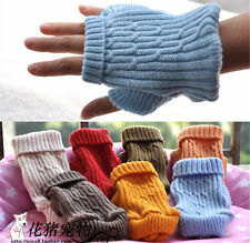 XXXXS/XXXS/XXS chihuahua