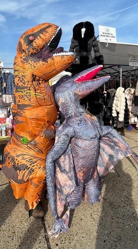 Adult rex are - adult, t-rex