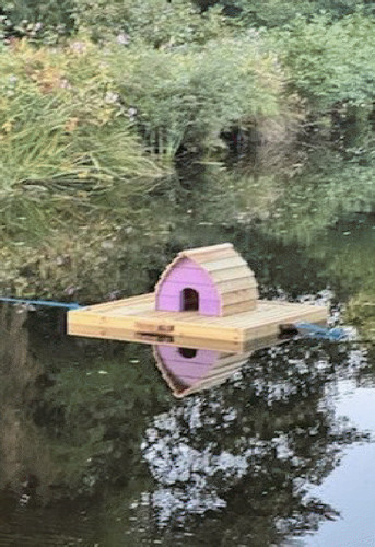 The floating duck - pod, /
