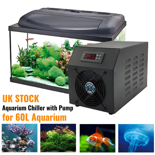 Aquarium chiller - aquarium,