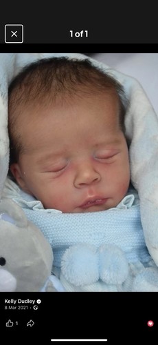 Reborn art doll - , olga