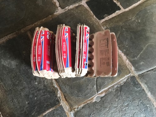 Egg boxes box - 15,