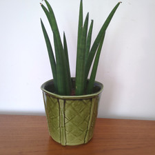 Vintage Churchill Plant Pot