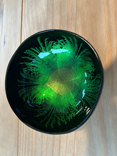 Hand painted coconut - hand, shell