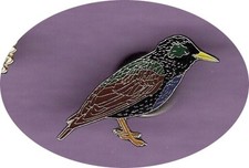 RSPB PIN BADGES - Do you want the pins but don't need the different cards?