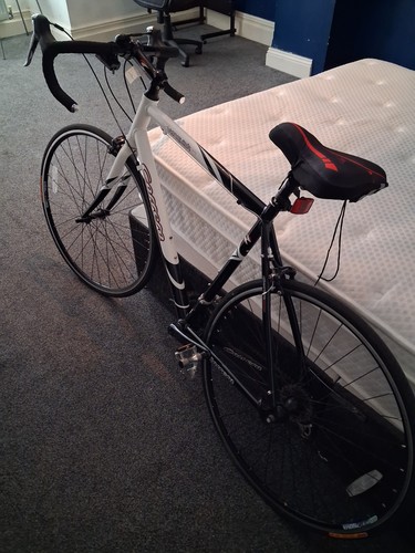 Race bike cycling - race,