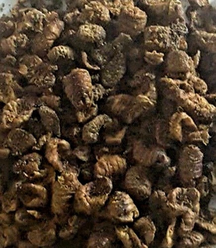 Silkworm pupae for koi - silkworm,