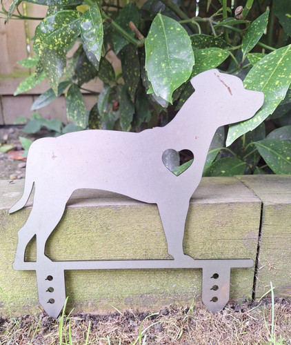 Staffordshire bull terrier - staffordshire, dog