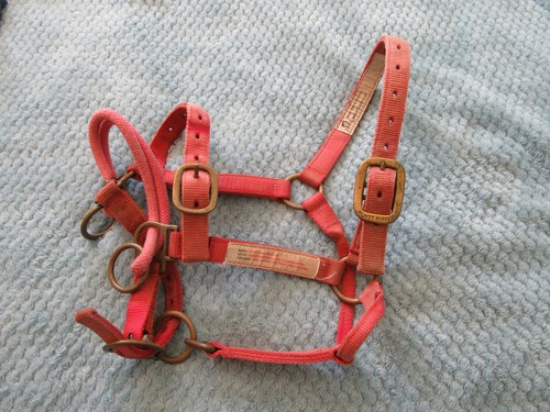 Monty roberts dually - roberts,