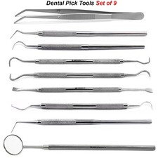 Dental Oral Hygiene Pick Tools
