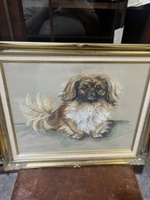 Beautiful image a Hand Drawn. Multimedia Picture Portrait Pekingese dog Framed
