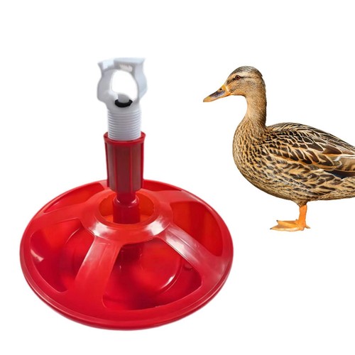Automatic chicken waterer - automatic,
