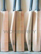 Plain English Willow Cricket