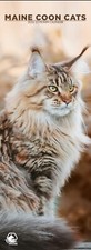 Maine Coon Cats Slim 2026 Calendar