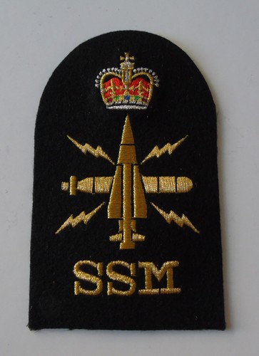 Royal navy petty - navy,