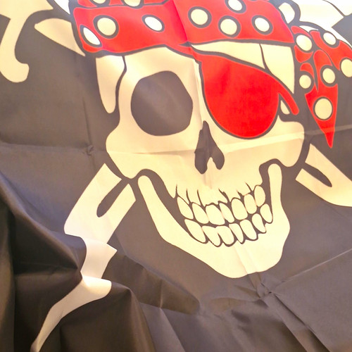 Jolly roger pirate skull - roger, &
