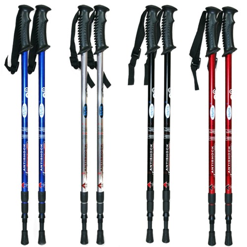 Pair nordic walking - pair,
