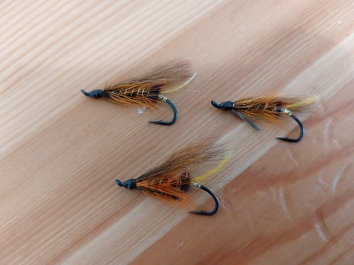 Thunder and lightning salmon - thunder,