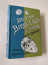 Vintage British Birds' Eggs &