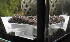 Corner Shrimp Aquarium Tunnel Hide – Fish Tank Substrate Accessory, Betta & Cory