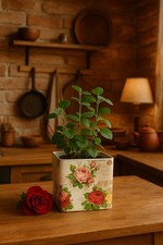 Floral glass plant holder