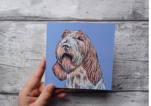 Italian spinone greetings - italian,