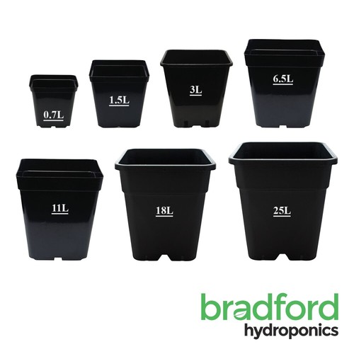 Square plastic black plant - square,