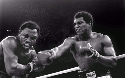 Muhammad ali boxing - ali,
