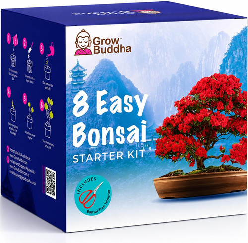 Bonsai tree kit grow - bonsai,