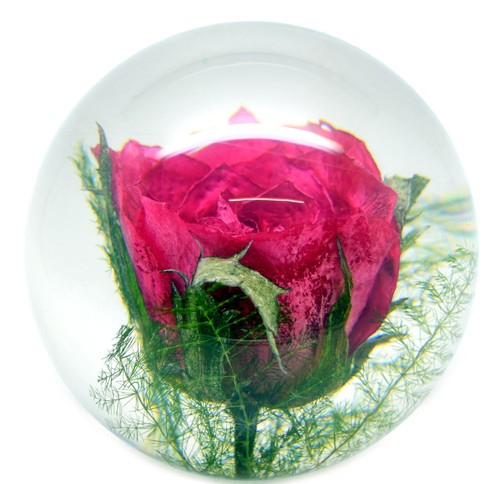 Large rose paperweight made - rose,