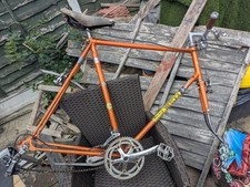 Eddy Mercx Orange Molteni