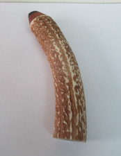 RED DEER STAG ANTLER ROLL TOP