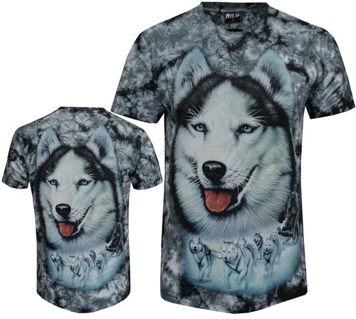 Siberian husky dog - dog, arctic