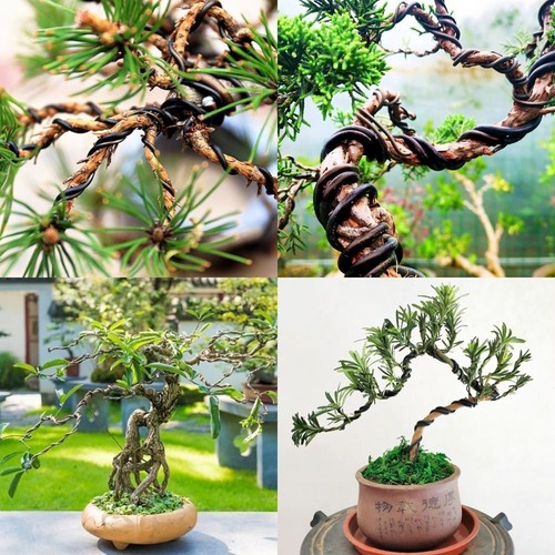 5 3mm bonsai wire - 1/1.5/2/2.5/3mm,