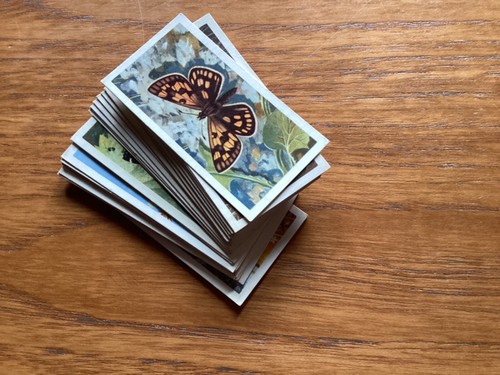 Cards for the price of - price,