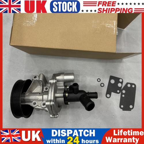 Engine water pump gasket - w/,