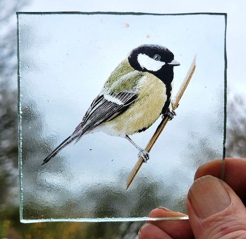Stained glass great tit - stained,