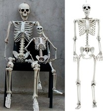 Halloween Posing Life Size Skeleton Full Body Realistic Bones - Party& Bar Decor